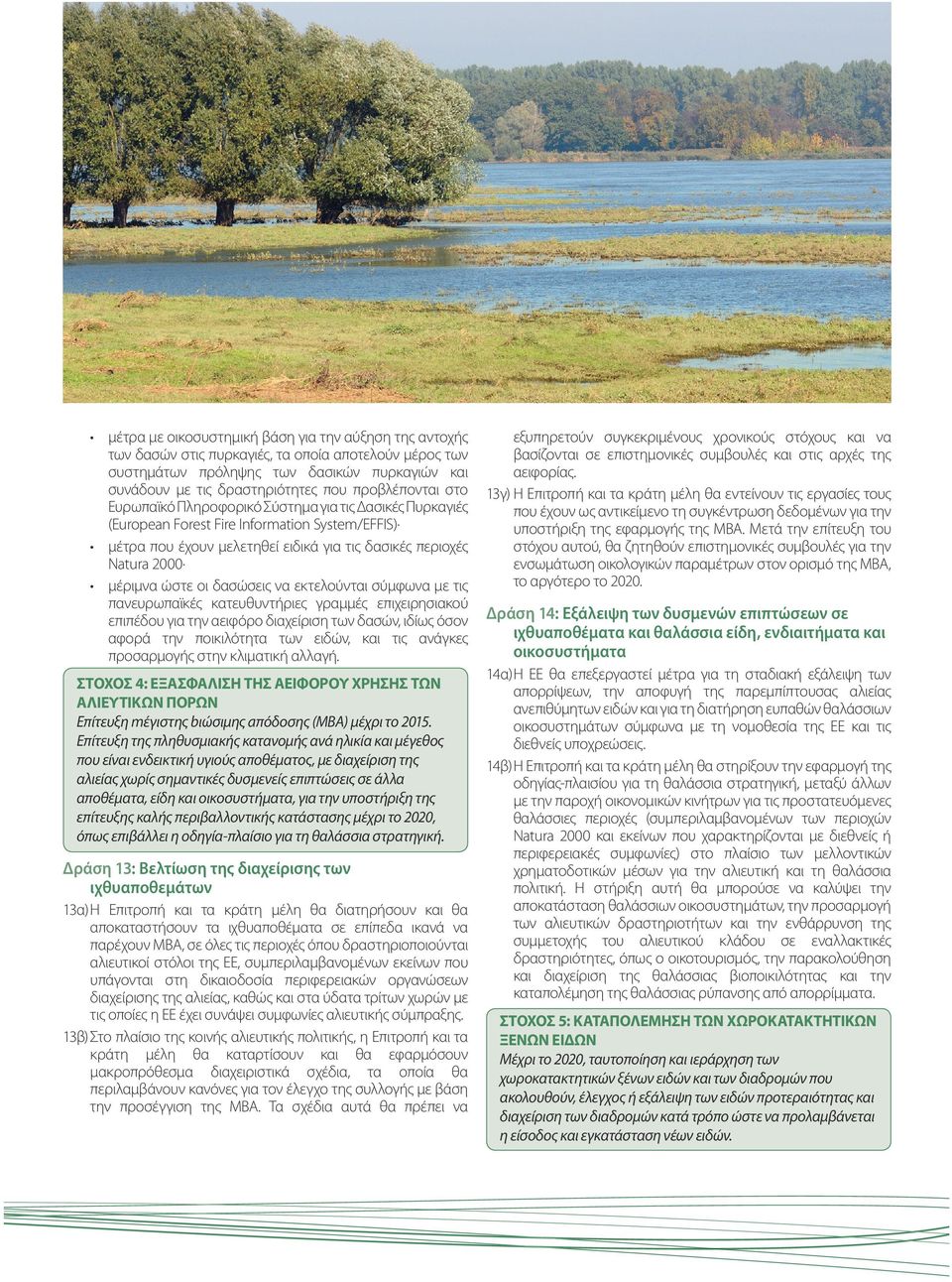 ώστε οι δασώσεις να εκτελούνται σύμφωνα με τις πανευρωπαϊκές κατευθυντήριες γραμμές επιχειρησιακού επιπέδου για την αειφόρο διαχείριση των δασών, ιδίως όσον αφορά την ποικιλότητα των ειδών, και τις