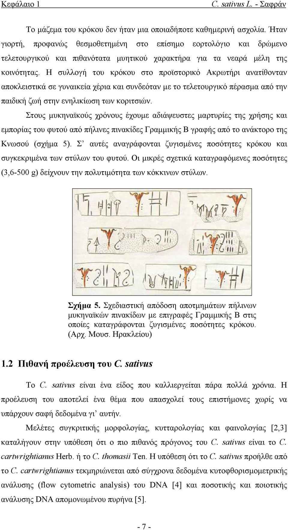 Η συλλογή του κρόκου στο προϊστορικό Ακρωτήρι ανατίθονταν αποκλειστικά σε γυναικεία χέρια και συνδεόταν µε το τελετουργικό πέρασµα από την παιδική ζωή στην ενηλικίωση των κοριτσιών.