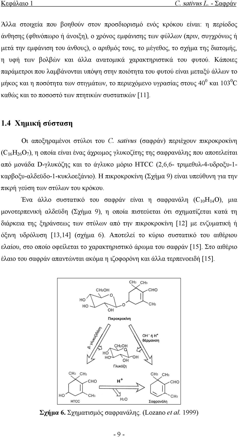 αριθµός τους, το µέγεθος, το σχήµα της διατοµής, η υφή των βολβών και άλλα ανατοµικά χαρακτηριστικά του φυτού.