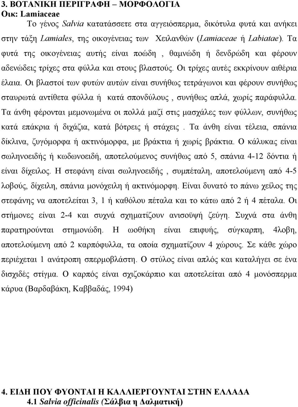 Οι βλαστοί των φυτών αυτών είναι συνήθως τετράγωνοι και φέρουν συνήθως σταυρωτά αντίθετα φύλλα ή κατά σπονδύλους, συνήθως απλά, χωρίς παράφυλλα.