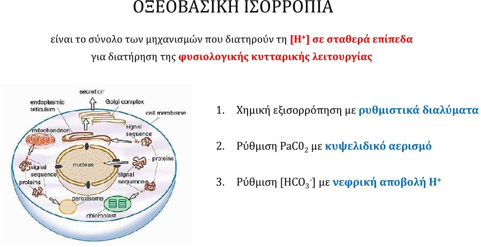 λειτουργίας 1. Χημική εξισορρόπηση με ρυθμιστικά διαλύματα 2.