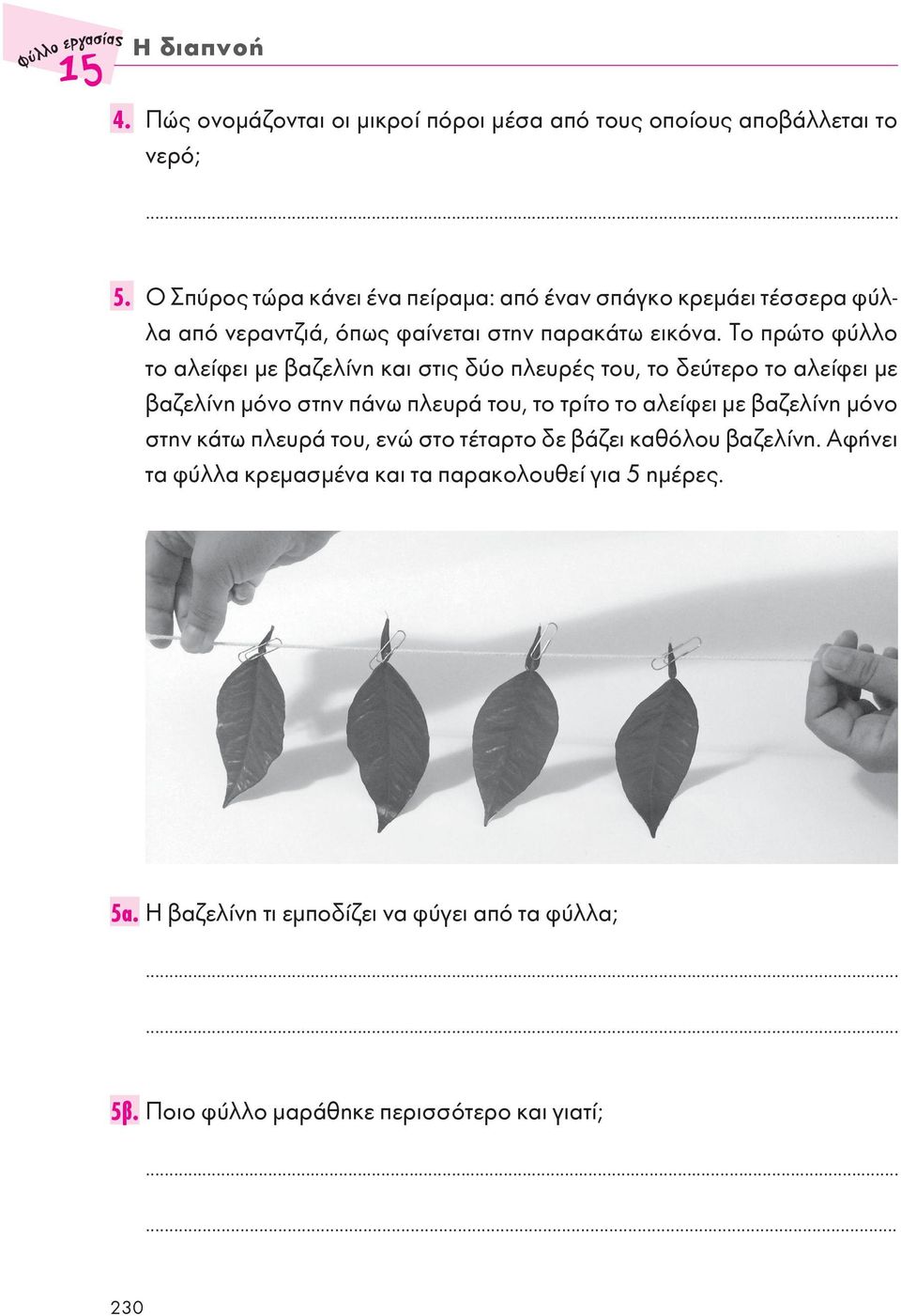 Το πρώτο φύλλο το αλείφει με βαζελίνη και στις δύο πλευρές του, το δεύτερο το αλείφει με βαζελίνη μόνο στην πάνω πλευρά του, το τρίτο το αλείφει με βαζελίνη
