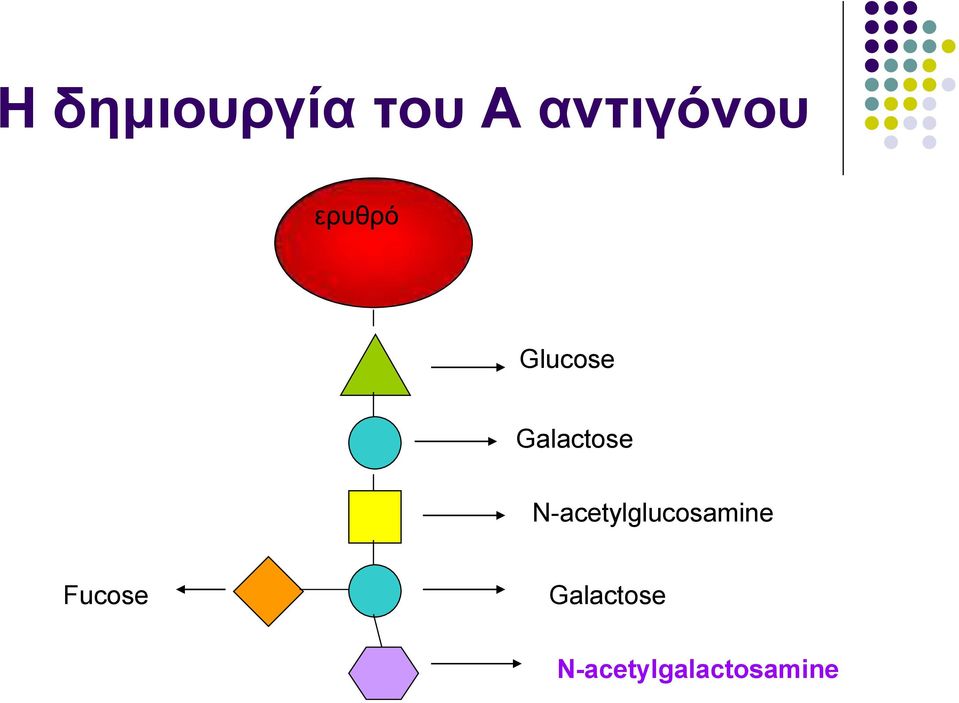 Galactose