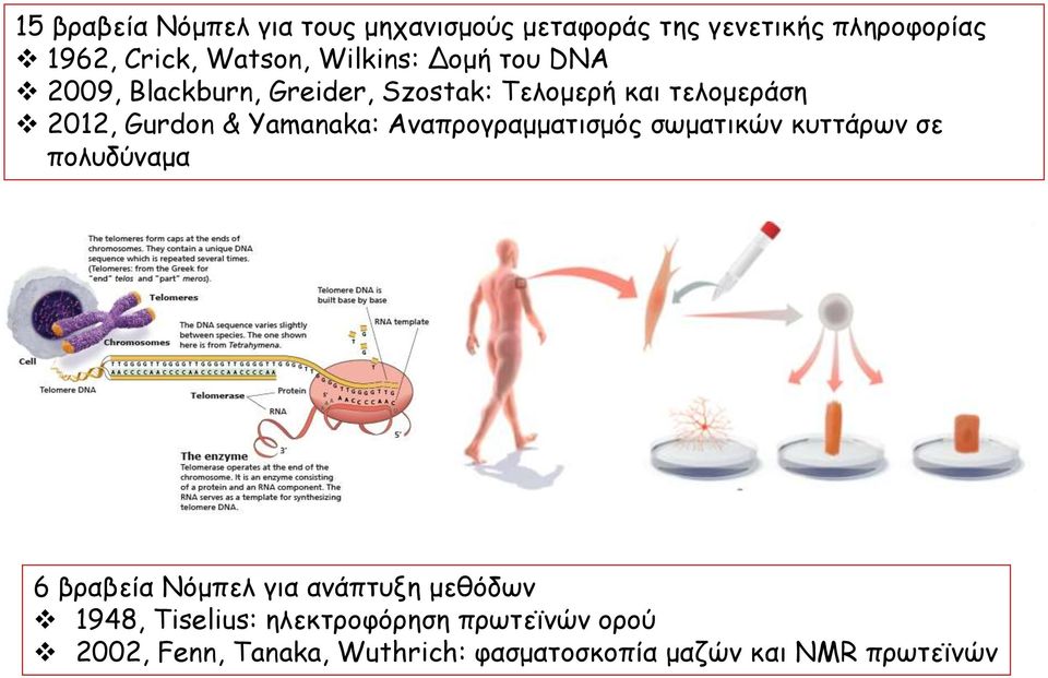 Yamanaka: Αναπρογραμματισμός σωματικών κυττάρων σε πολυδύναμα 6 βραβεία Νόμπελ για ανάπτυξη μεθόδων