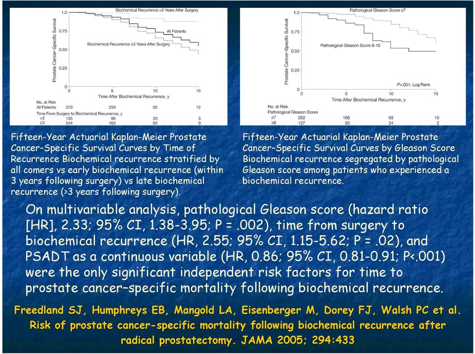Fifteen-Year Actuarial Kaplan-Meier Prostate Cancer Specific Survival Curves by Gleason Score Biochemical recurrence segregated by pathological Gleason score among patients who experienced a