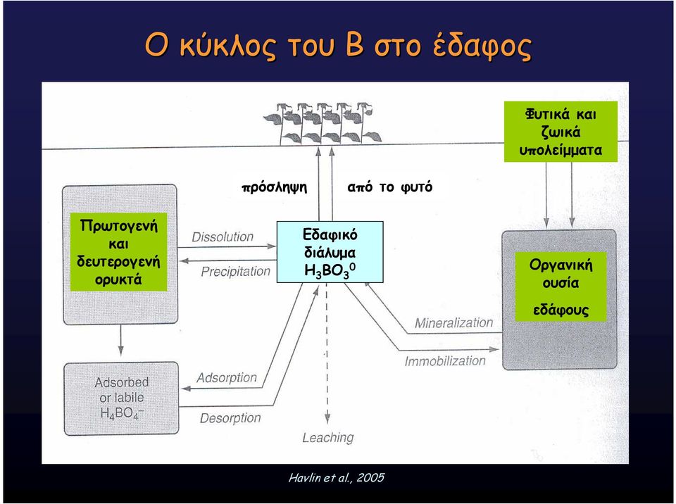 και δευτερογενή ορυκτά Εδαφικό διάλυµα Η 3