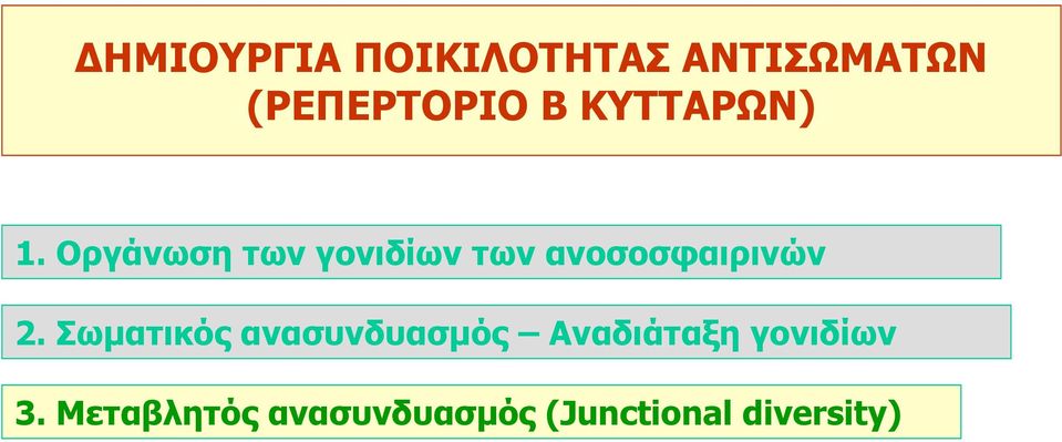 Οργάνωση των γονιδίων των ανοσοσφαιρινών 2.