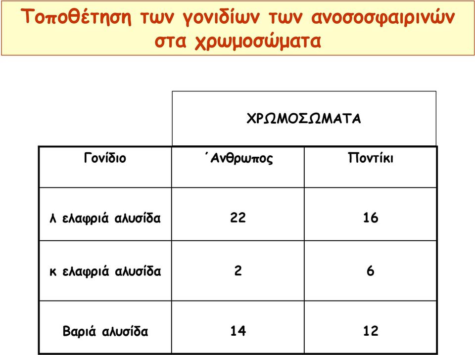 ΧΡΩΜΟΣΩΜΑΤΑ Γονίδιο Ανθρωπος Ποντίκι λ