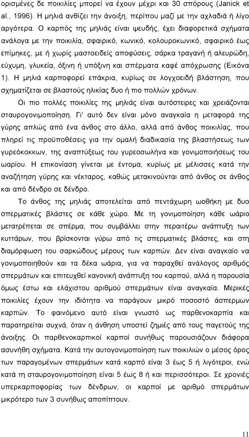 εύχυμη, γλυκεία, όξινη ή υπόξινη και σπέρματα καφέ απόχρωσης (Εικόνα 1). Η μηλιά καρποφορεί επάκρια, κυρίως σε λογχοειδή βλάστηση, που σχηματίζεται σε βλαστούς ηλικίας δυο ή πιο πολλών χρόνων.