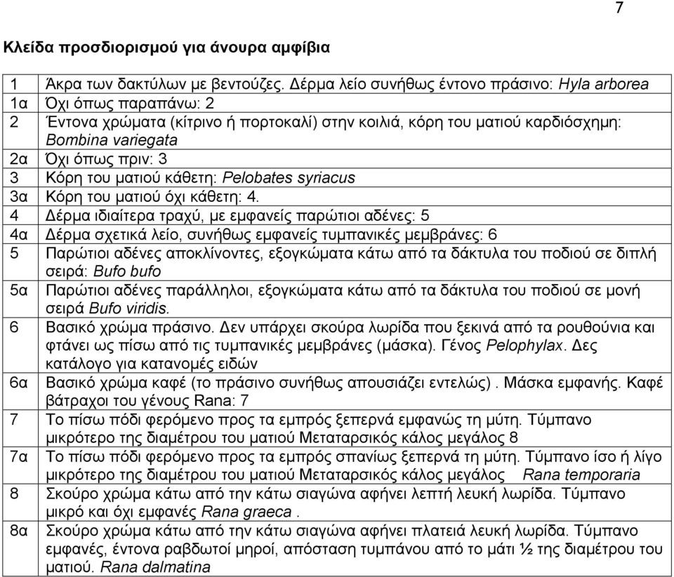 του ματιού κάθετη: Pelobates syriacus 3α Κόρη του ματιού όχι κάθετη: 4.