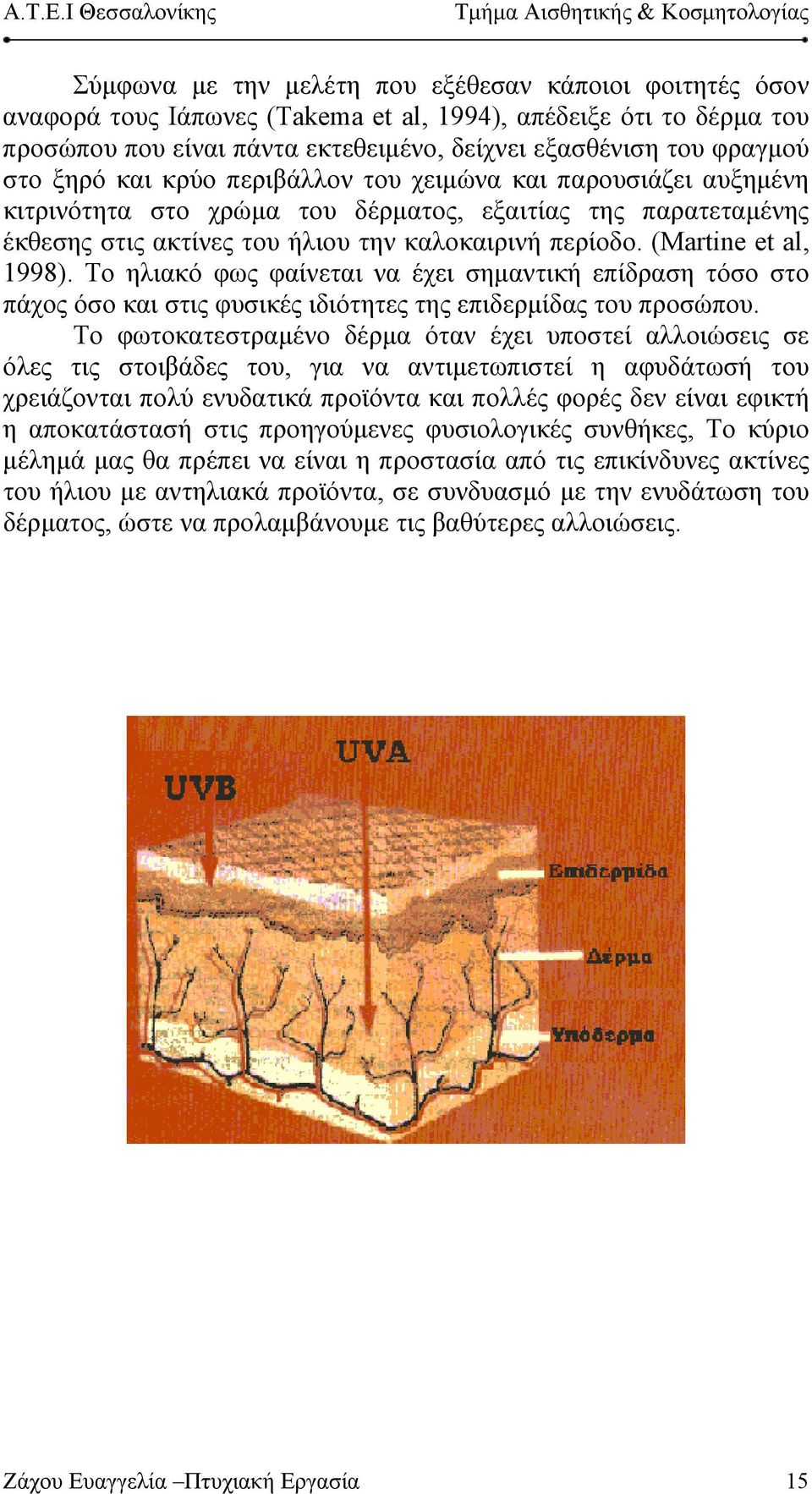 (Martine et al, 998). Το ηλιακό φως φαίνεται να έχει σημαντική επίδραση τόσο στο πάχος όσο και στις φυσικές ιδιότητες της επιδερμίδας του προσώπου.