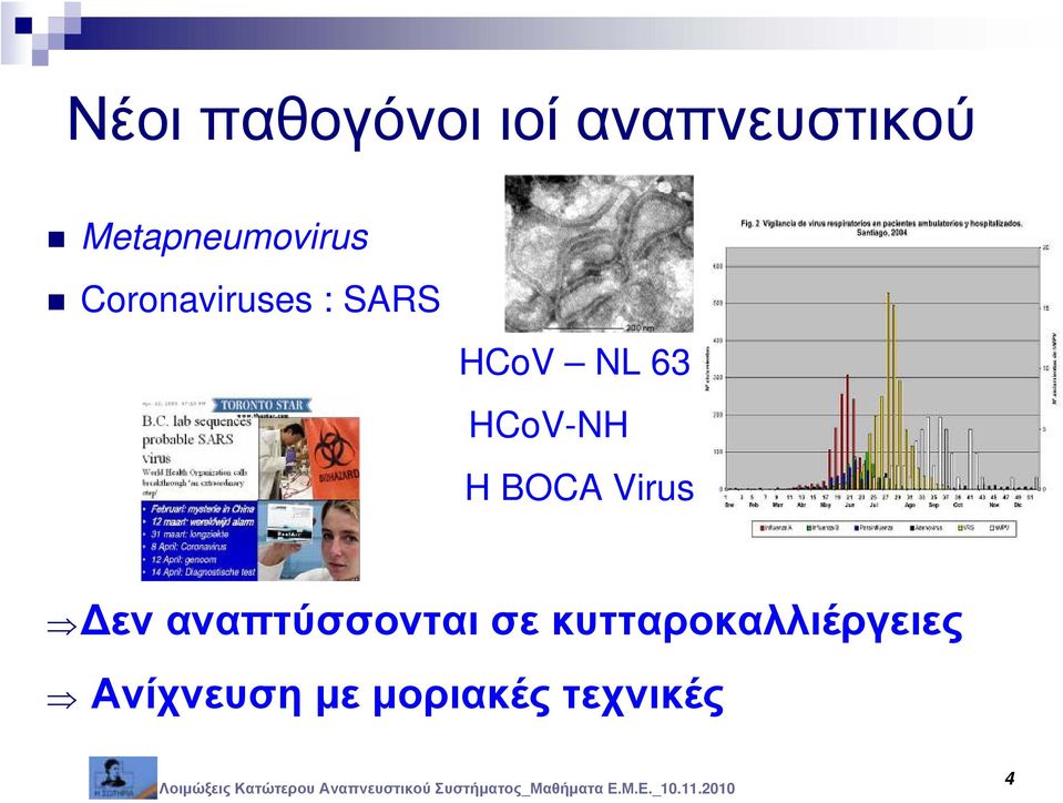 NL 63 HCoV-NH H BOCA Virus Δεν
