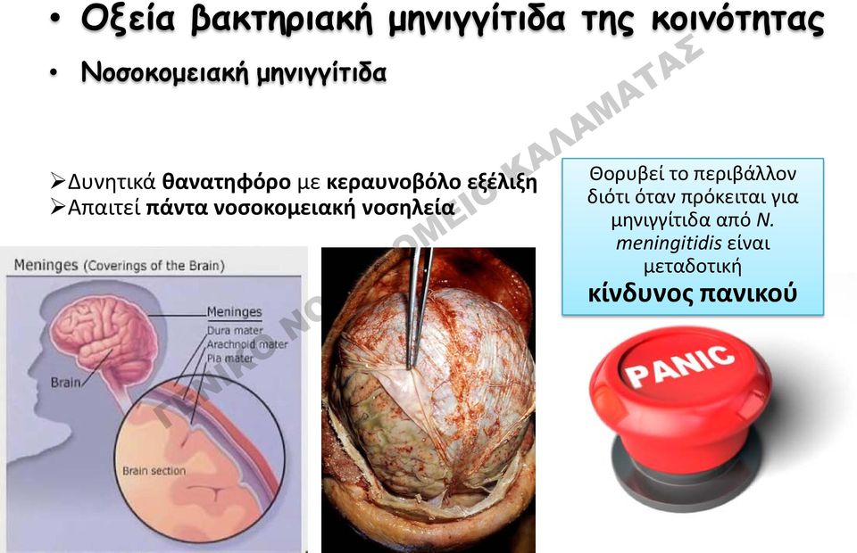 πάντα νοσοκομειακή νοσηλεία Θορυβεί το περιβάλλον διότι όταν