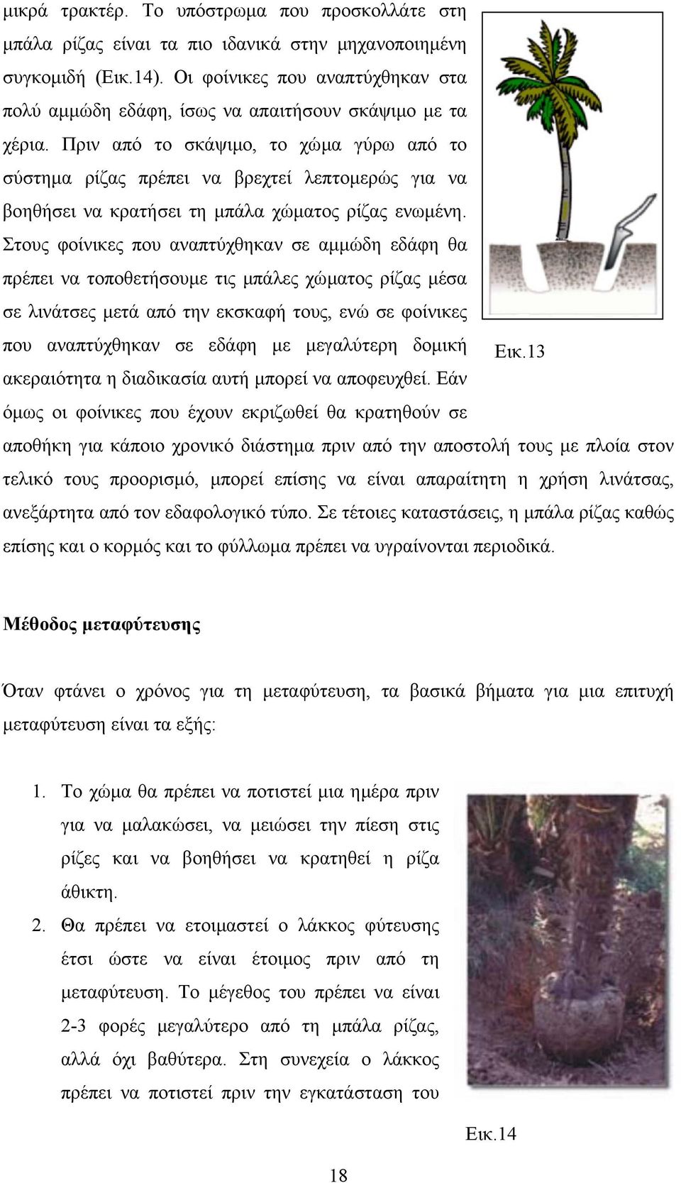 Πριν από το σκάψιµο, το χώµα γύρω από το σύστηµα ρίζας πρέπει να βρεχτεί λεπτοµερώς για να βοηθήσει να κρατήσει τη µπάλα χώµατος ρίζας ενωµένη.