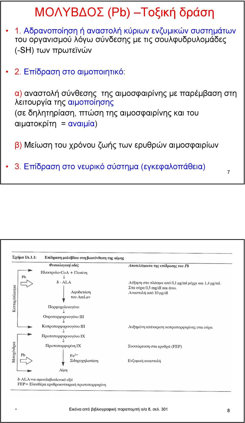 πρωτεϊνών 2.