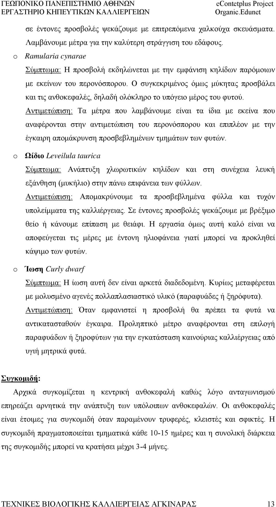 Ο συγκεκριμένος όμως μύκητας προσβάλει και τις ανθοκεφαλές, δηλαδή ολόκληρο το υπόγειο μέρος του φυτού.