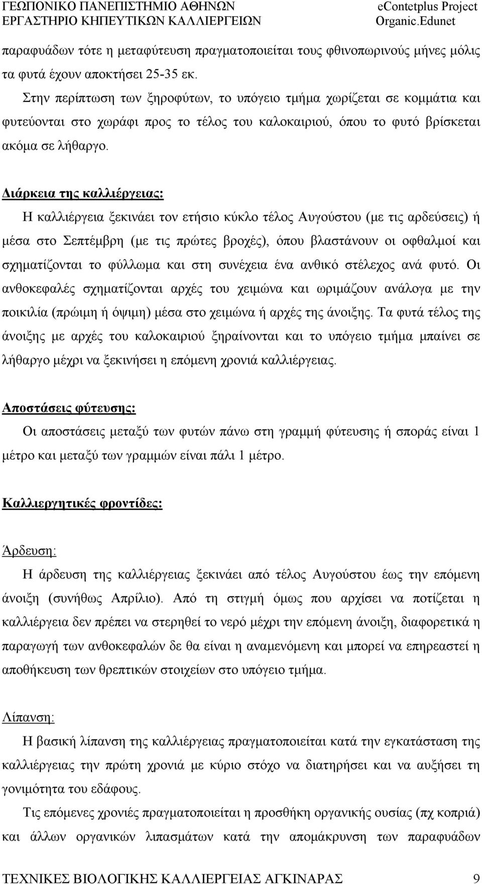 Διάρκεια της καλλιέργειας: Η καλλιέργεια ξεκινάει τον ετήσιο κύκλο τέλος Αυγούστου (με τις αρδεύσεις) ή μέσα στο Σεπτέμβρη (με τις πρώτες βροχές), όπου βλαστάνουν οι οφθαλμοί και σχηματίζονται το