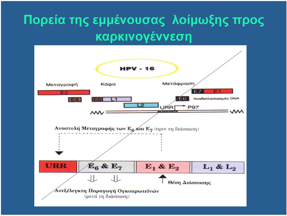 λοίµωξης