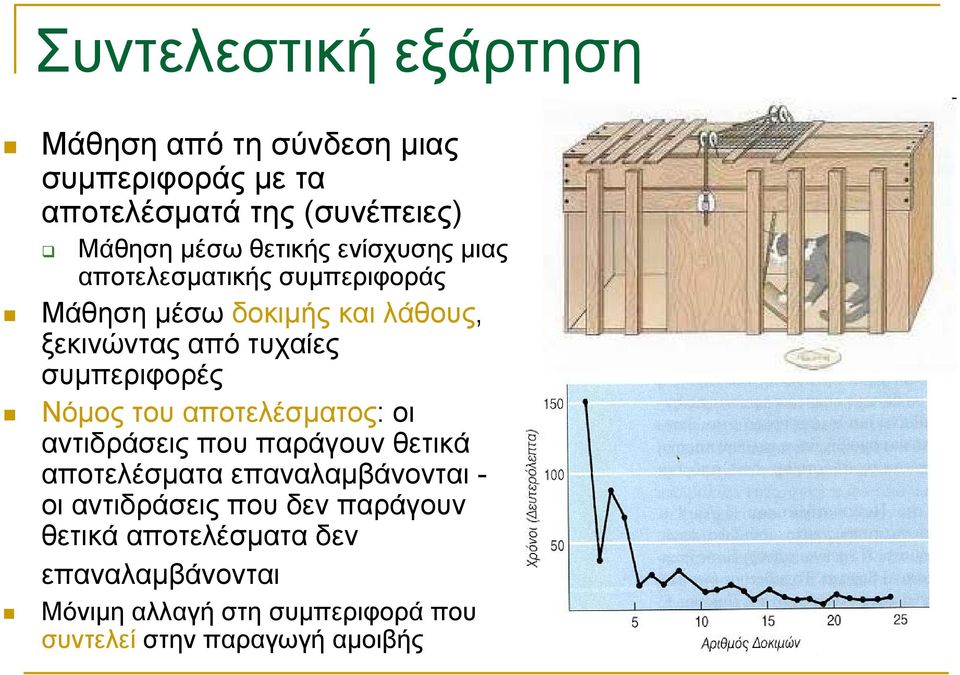 Nόμος του αποτελέσματος: οι αντιδράσεις που παράγουν θετικά αποτελέσματα επαναλαμβάνονται - οι αντιδράσεις που