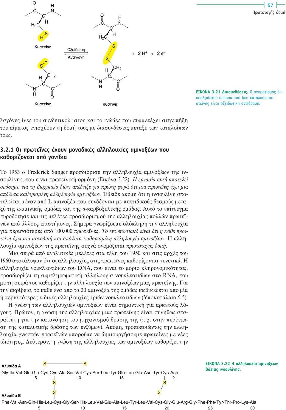 1 Οι πρωτεΐνες έχουν µοναδικές αλληλουχίες αµινοξέων που καθορίζονται από γονίδια Το 1953 ο Frederick anger προσδιόρισε την αλληλουχία αµινοξέων της ινσουλίνης, που είναι πρωτεϊνική ορµόνη (Eικόνα 3.