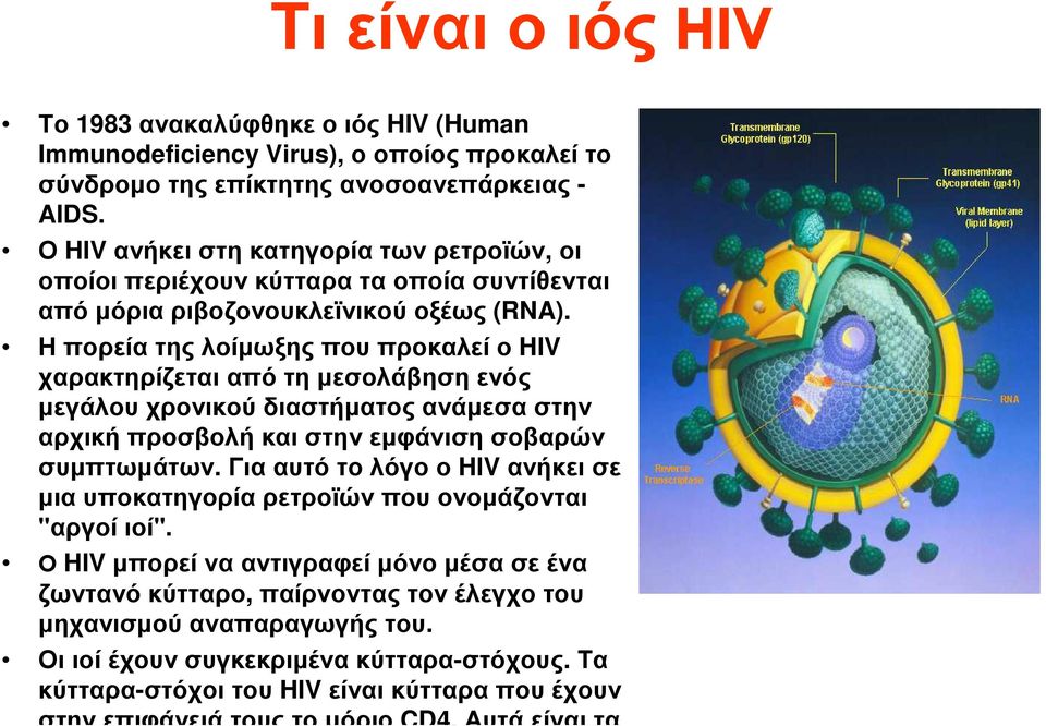 ΗπορείατηςλοίµωξηςπουπροκαλείοHIV χαρακτηρίζεται από τη µεσολάβηση ενός µεγάλου χρονικού διαστήµατος ανάµεσα στην αρχική προσβολή και στην εµφάνιση σοβαρών συµπτωµάτων.