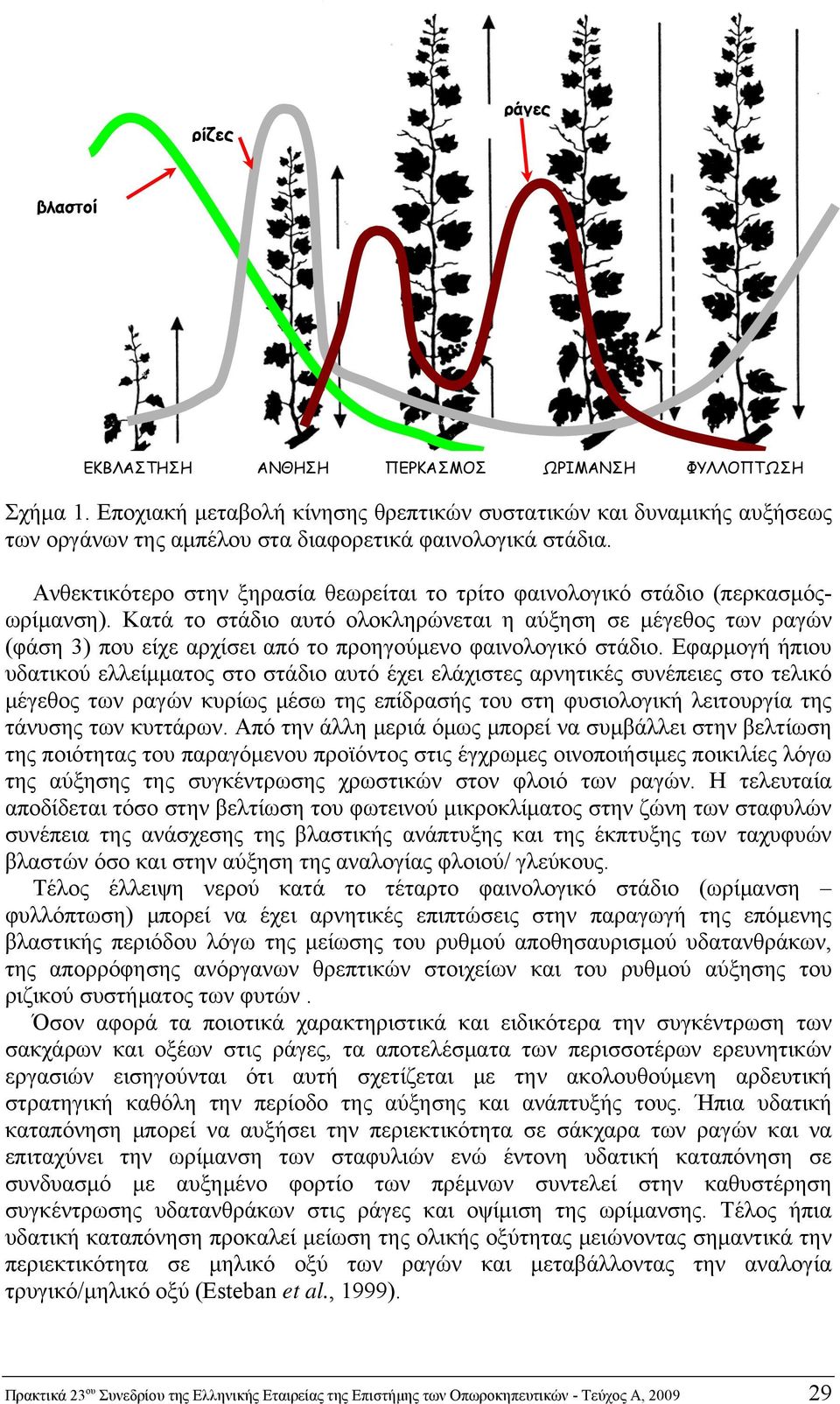 Ανθεκτικότερο στην ξηρασία θεωρείται το τρίτο φαινολογικό στάδιο (περκασμόςωρίμανση).