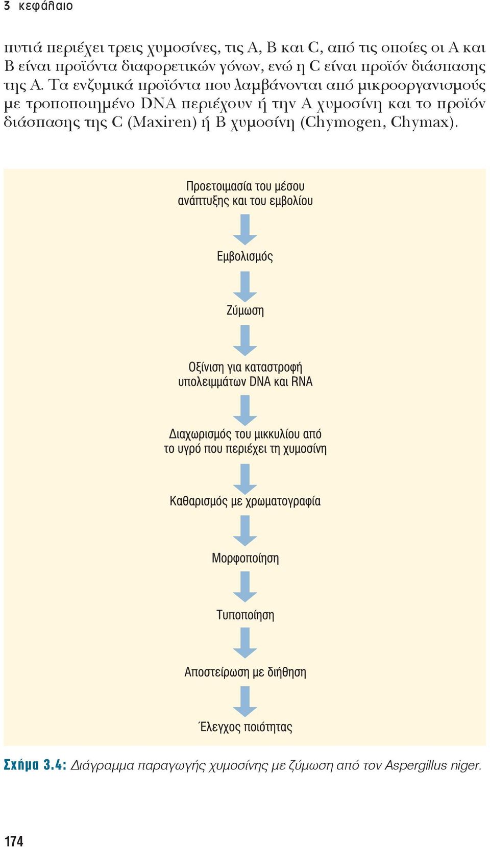 Τα ενζυμικά προϊόντα που λαμβάνονται από μικροοργανισμούς με τροποποιημένο DNA περιέχουν ή την Α