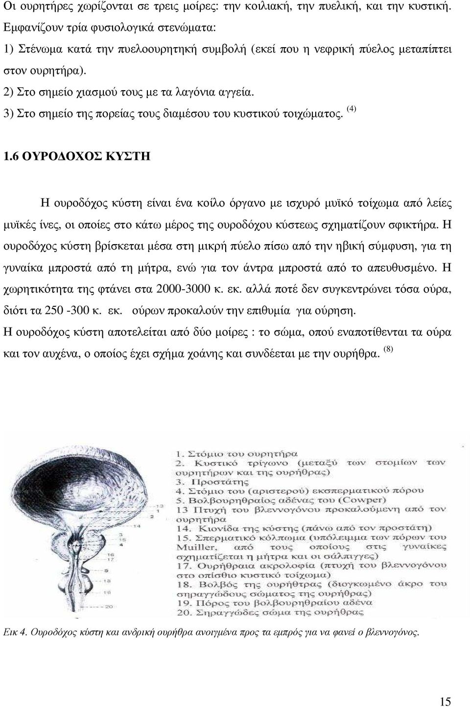 3) Στο σηµείο της πορείας τους διαµέσου του κυστικού τοιχώµατος. (4) 1.