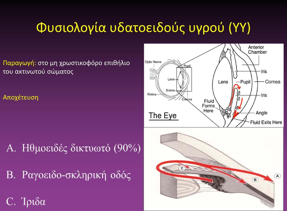 μη χρωστικοφόρο επιθήλιο