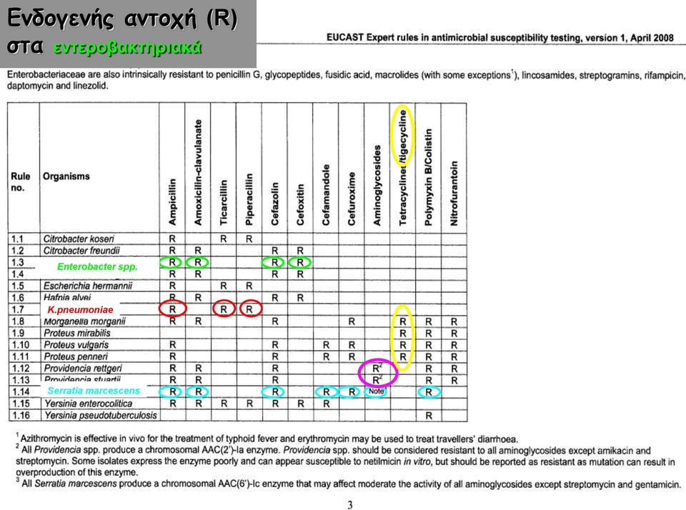 Enterobacter spp. K.