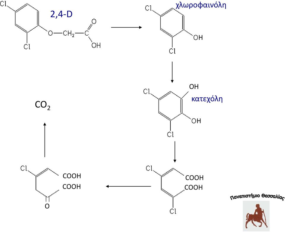 CO 2 ΟΗ