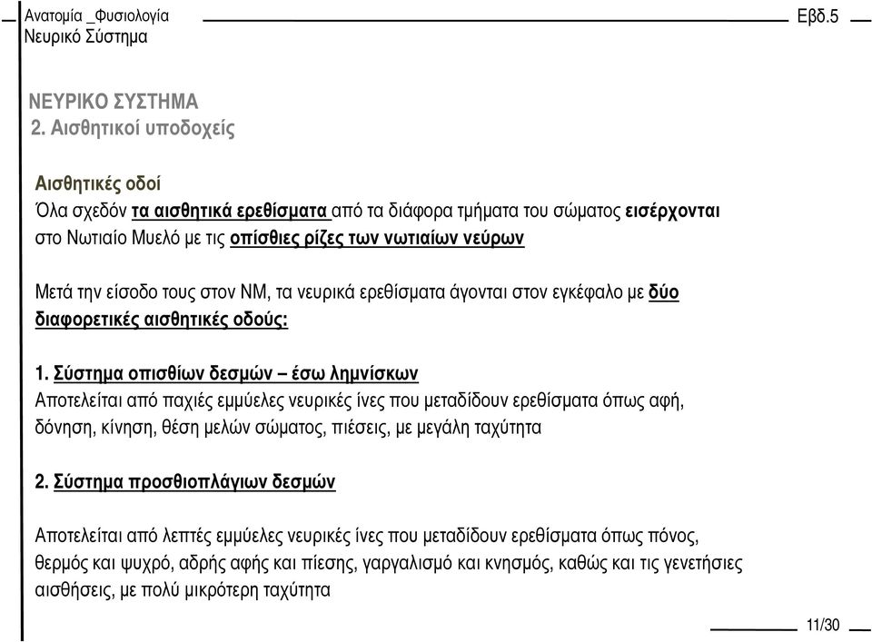 Σύστηµα οπισθίων δεσµών έσω ληµνίσκων Αποτελείται από παχιές εµµύελες νευρικές ίνες που µεταδίδουν ερεθίσµατα όπως αφή, δόνηση, κίνηση, θέση µελών σώµατος, πιέσεις, µε µεγάλη