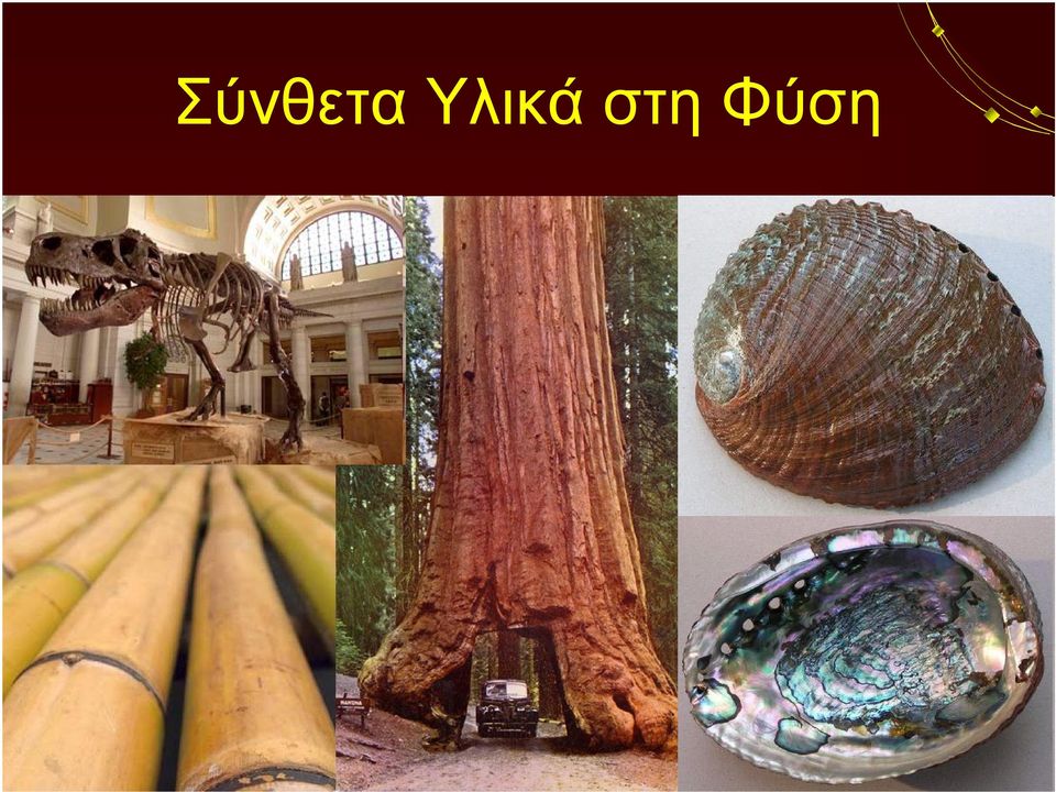 Φύση