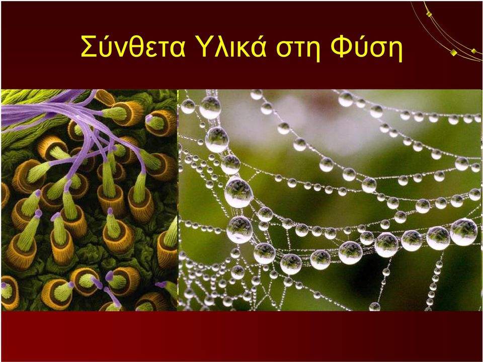 Φύση