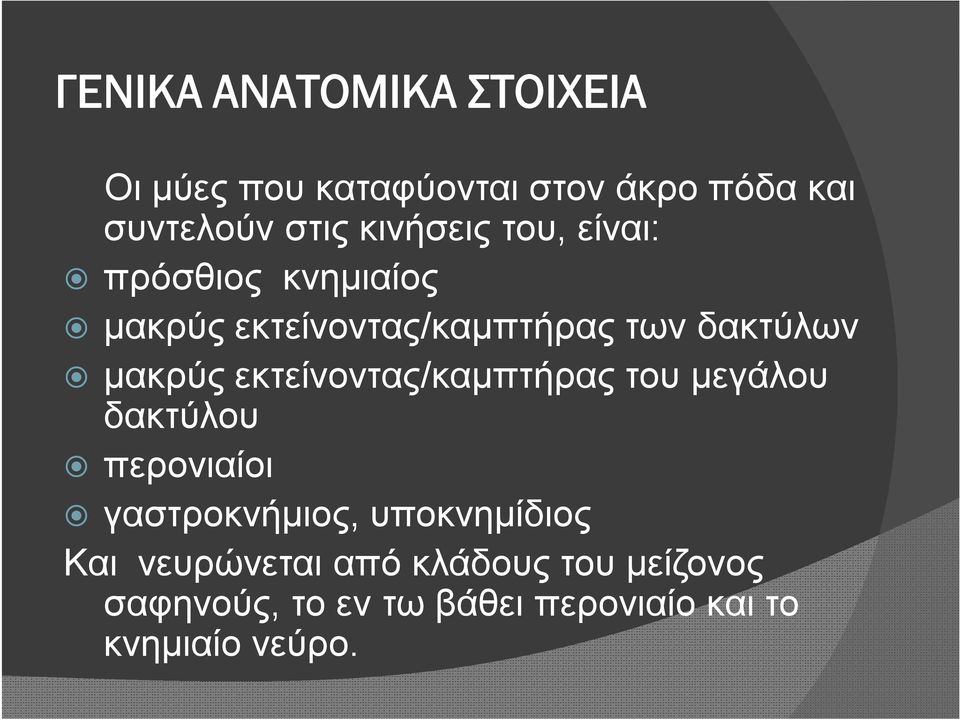 μακρύς εκτείνοντας/καμπτήρας του μεγάλου δακτύλου περονιαίοι γαστροκνήμιος,