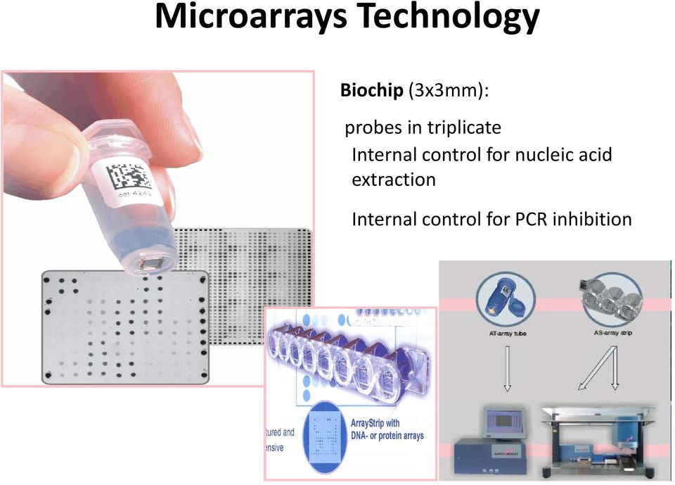 Internal control for nucleic acid