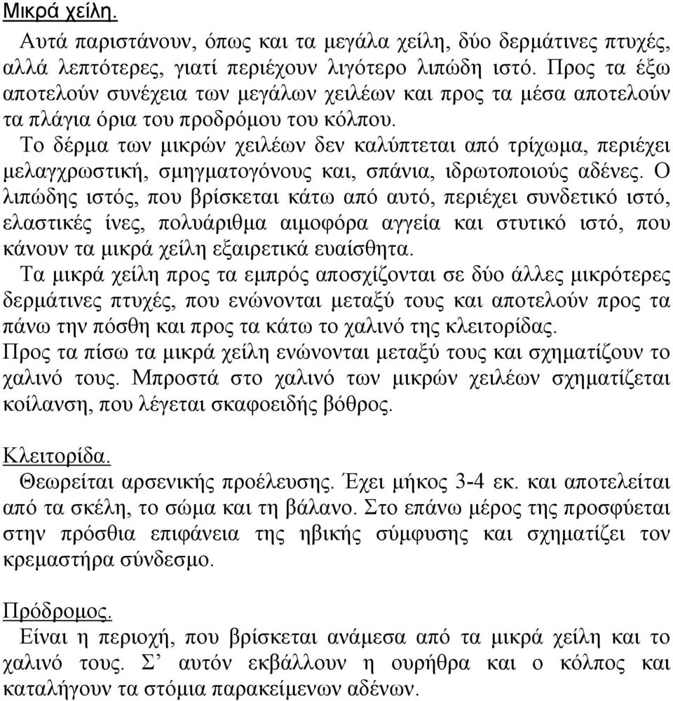 To δέρµα των µικρών χειλέων δεν καλύπτεται από τρίχωµα, περιέχει µελαγχρωστική, σµηγµατογόνους και, σπάνια, ιδρωτοποιούς αδένες.