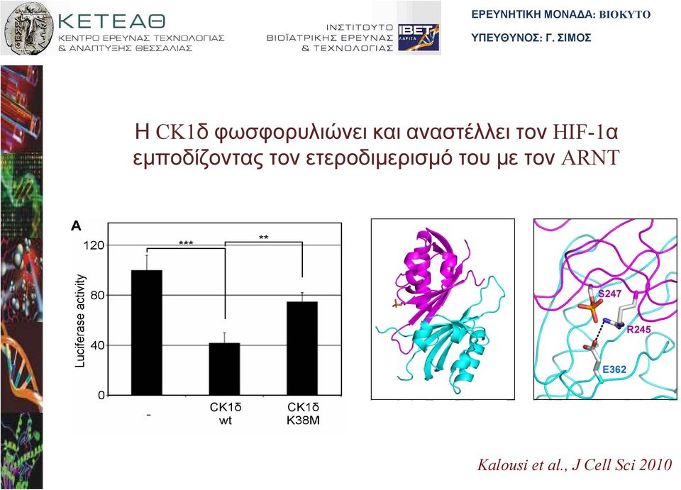 τον ετεροδιµερισµό του µε τον