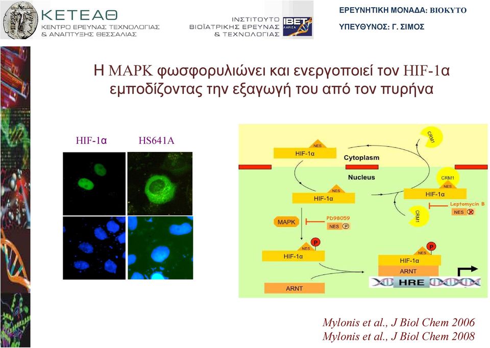 τον πυρήνα HS641A Mylonis et al.