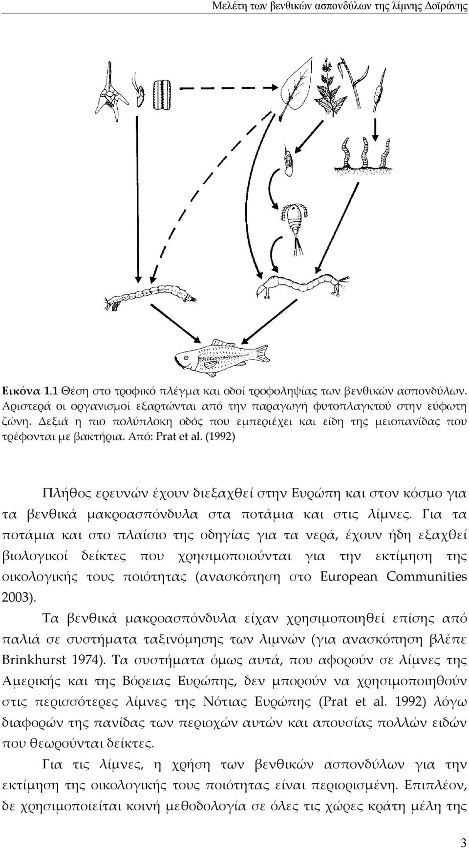 (1992) Πλήθος ερευνών έχουν διεξαχθεί στην Ευρώπη και στον κόσμο για τα βενθικά μακροασπόνδυλα στα ποτάμια και στις λίμνες.