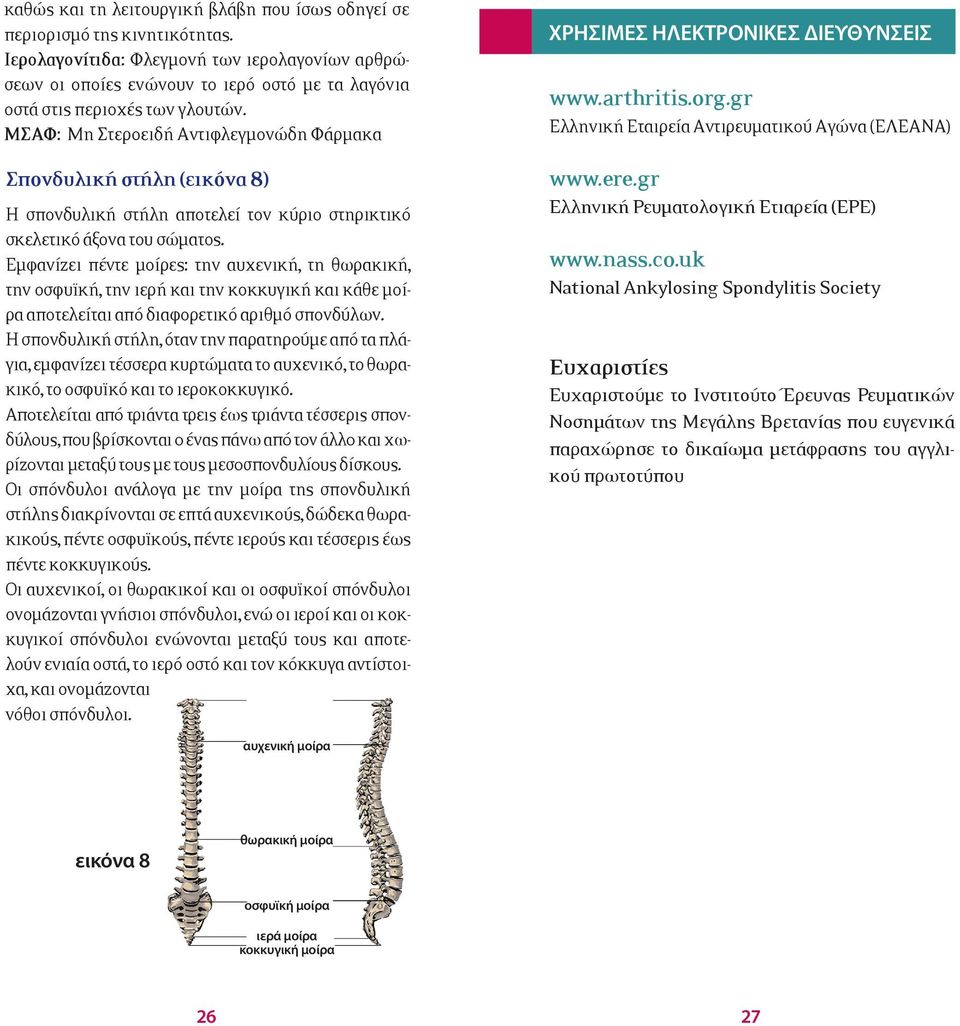 MΣAΦ: Mη Στεροειδή Aντιφλεγμονώδη Φάρμακα Σπονδυλική στήλη (εικόνα 8) Η σπονδυλική στήλη αποτελεί τον κύριο στηρικτικό σκελετικό άξονα του σώματος.