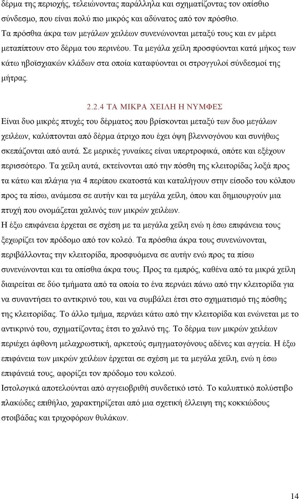 Τα μεγάλα χείλη προσφύονται κατά μήκος των κάτω ηβοϊσχιακών κλάδων στα οποία καταφύονται οι στρογγυλοί σύνδεσμοί της μήτρας. 2.