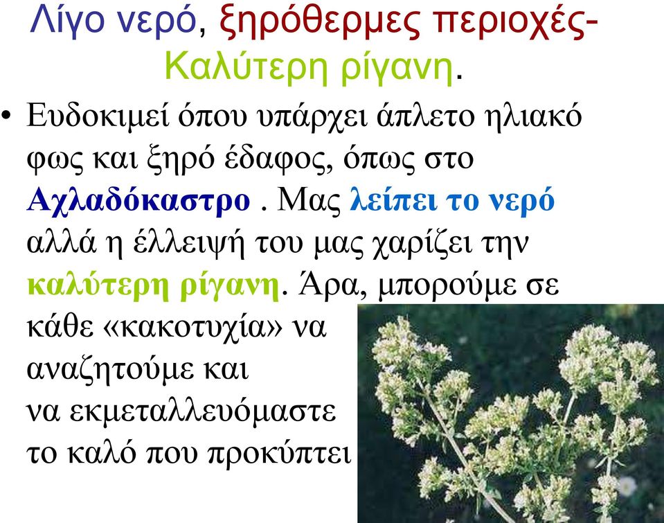 Αχλαδόκαστρο.