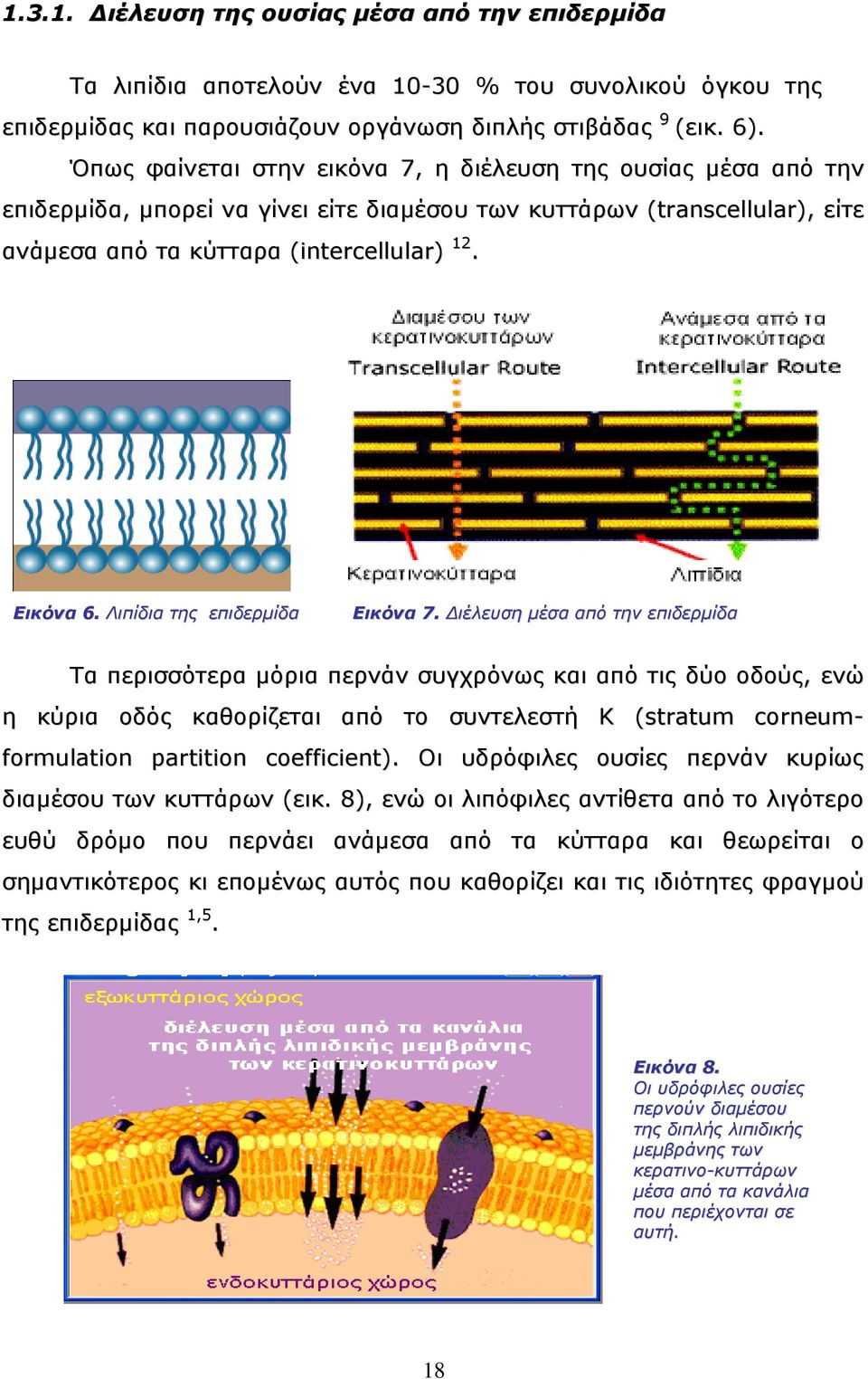 Λιπίδια της επιδερμίδα Εικόνα 7.