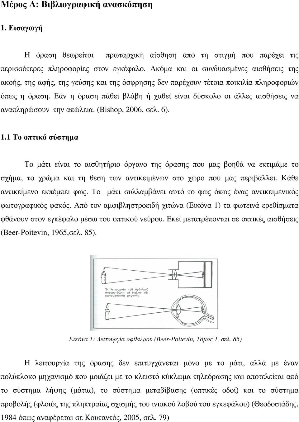 Εάν η όραση πάθει βλάβη ή χαθεί είναι δύσκολο οι άλλες αισθήσεις να αναπληρώσουν την απώλεια. (Bishop, 2006, σελ. 6). 1.