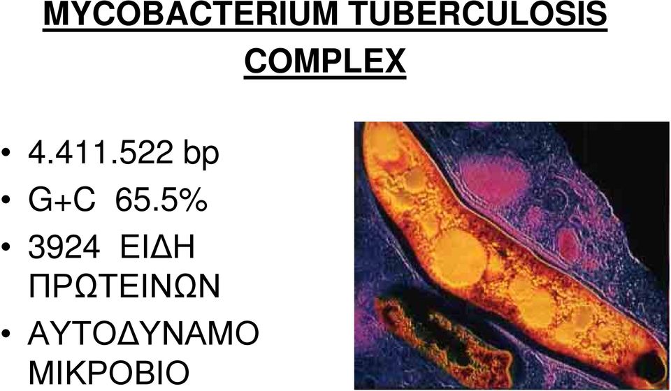 411.522 bp G+C 65.