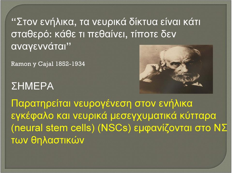 Παρατηρείται νευρογένεση στον ενήλικα εγκέφαλο και νευρικά