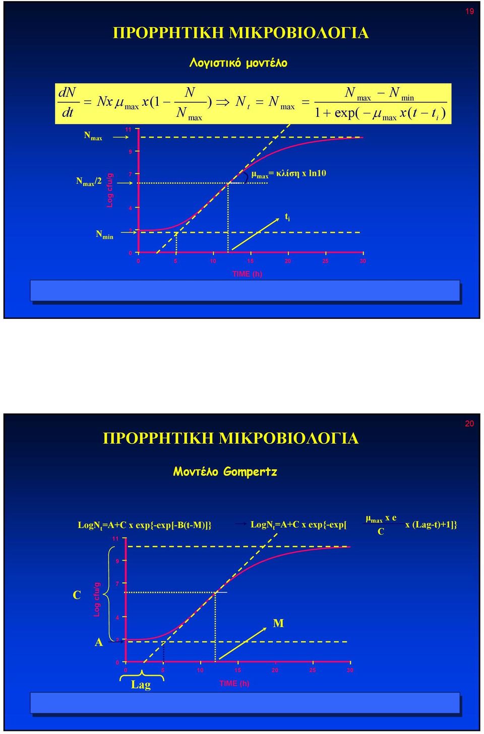 20 2 30 TIME (h) 19 ΠΡΟΡΡΗTIKH ΜΙΚΡΟΒΙΟΛΟΓΙΑ 20 Mοντέλο Gompertz LogN t =A+C x exp{-exp[-b(t-m)]} 11