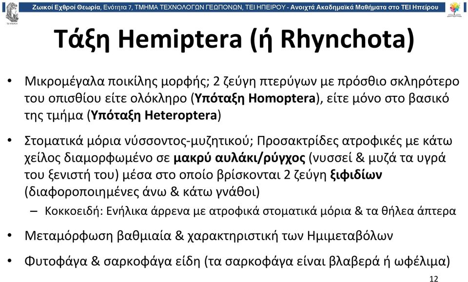 (νυσσεί & μυζάταυγρά του ξενιστή του) μέσα στο οποίο βρίσκονται 2 ζεύγη ξιφιδίων (διαφοροποιημένες άνω & κάτω γνάθοι) Κοκκοειδή: Ενήλικα άρρενα με ατροφικά
