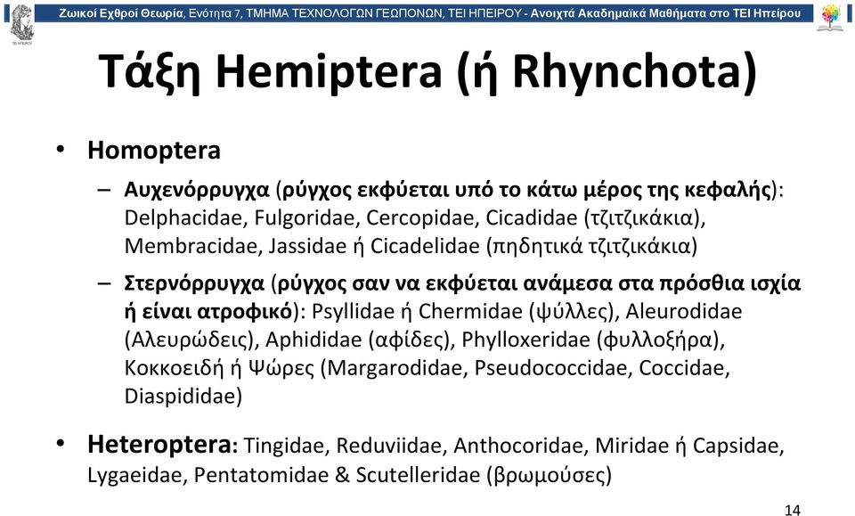 ατροφικό): Psyllidae ή Chermidae (ψύλλες), Aleurodidae (Αλευρώδεις), Aphididae (αφίδες), Phylloxeridae (φυλλοξήρα), Κοκκοειδή ή Ψώρες (Margarodidae,